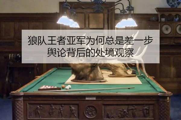 lang-dui-wang-zhe-ya-jun-wei-he-zong-shi-cha-yi-bu-yu-lun-bei-hou-de-chu-jing-guan-cha-2-123.jpg